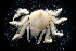  ( - LACM:DISCO:3666)  @11 [ ] CreativeCommons  Attribution (by) (2018) Natural History Museum of Los Angeles County Natural History Museum of Los Angeles County