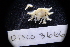  ( - LACM:DISCO:3666)  @11 [ ] CreativeCommons  Attribution (by) (2018) Natural History Museum of Los Angeles County Natural History Museum of Los Angeles County