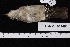  ( - USNM_664494)  @11 [ ] nrr  Unspecified Unspecified