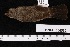  ( - USNM_664550)  @11 [ ] nrr  Unspecified Unspecified