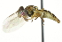  ( - KNWR 3393)  @13 [ ] CreativeCommons - Attribution (2011) CBG Photography Group Centre for Biodiversity Genomics