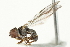  ( - KNWR 6769)  @12 [ ] CreativeCommons - Attribution (2011) CBG Photography Group Centre for Biodiversity Genomics