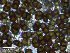  ( - MCM194)  @11 [ ] CreativeCommons  Attribution Non-Commercial Share-Alike (2025) Diane L. Haughland Unspecified