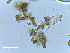  ( - MCM474)  @11 [ ] CreativeCommons  Attribution Non-Commercial Share-Alike (2025) Diane L. Haughland Unspecified