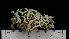  ( - ABMI.L.1159095)  @11 [ ] CreativeCommons  Attribution Non-Commercial Share-Alike (2022) Diane L. Haughland Alberta Biodiversity Monitoring Institute