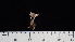 ( - ABMI.L.1462907)  @11 [ ] CreativeCommons  Attribution Non-Commercial Share-Alike (2022) Diane L. Haughland Alberta Biodiversity Monitoring Institute