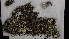  ( - ABMI.L.448685)  @11 [ ] CreativeCommons  Attribution Non-Commercial Share-Alike (2022) Diane L. Haughland Alberta Biodiversity Monitoring Institute