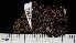  ( - DLH-2013-84)  @11 [ ] CreativeCommons  Attribution Non-Commercial Share-Alike (2022) Diane L. Haughland Alberta Biodiversity Monitoring Institute