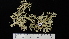  ( - DLH-2014-224)  @11 [ ] CreativeCommons  Attribution Non-Commercial Share-Alike (2022) Diane L. Haughland Alberta Biodiversity Monitoring Institute