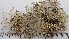  ( - DLH-2015-104)  @11 [ ] CreativeCommons  Attribution Non-Commercial Share-Alike (2020) Diane L. Haughland Unspecified