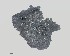  ( - DLH-2015-181)  @11 [ ] CreativeCommons  Attribution Non-Commercial Share-Alike (2020) Diane L. Haughland Unspecified