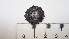  ( - DLH-2015-197)  @11 [ ] CreativeCommons  Attribution Non-Commercial Share-Alike (2020) Diane L. Haughland Unspecified