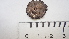  ( - DLH-2015-197)  @11 [ ] CreativeCommons  Attribution Non-Commercial Share-Alike (2020) Diane L. Haughland Unspecified
