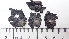 ( - DLH-2015-204)  @11 [ ] CreativeCommons  Attribution Non-Commercial Share-Alike (2020) Diane L. Haughland Unspecified