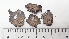  ( - DLH-2015-204)  @11 [ ] CreativeCommons  Attribution Non-Commercial Share-Alike (2020) Diane L. Haughland Unspecified