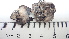  ( - DLH-2015-211)  @11 [ ] CreativeCommons  Attribution Non-Commercial Share-Alike (2020) Diane L. Haughland Unspecified