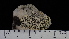  ( - DLH-2015-212)  @11 [ ] CreativeCommons  Attribution Non-Commercial Share-Alike (2022) Diane L. Haughland Alberta Biodiversity Monitoring Institute