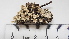  ( - DLH-2015-224)  @11 [ ] CreativeCommons  Attribution Non-Commercial Share-Alike (2020) Diane L. Haughland Alberta Biodiversity Monitoring Institute