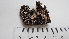  ( - DLH-2015-232)  @11 [ ] CreativeCommons  Attribution Non-Commercial Share-Alike (2020) Diane L. Haughland Alberta Biodiversity Monitoring Institute