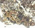  ( - DLH-2015-241)  @11 [ ] CreativeCommons  Attribution Non-Commercial Share-Alike (2020) Diane L. Haughland Unspecified