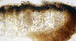  ( - DLH-2015-241)  @11 [ ] CreativeCommons  Attribution Non-Commercial Share-Alike (2020) Diane L. Haughland Unspecified
