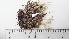 ( - DLH-2015-254)  @11 [ ] CreativeCommons  Attribution Non-Commercial Share-Alike (2020) Diane L. Haughland Unspecified