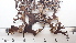  ( - DLH-2015-89)  @11 [ ] CreativeCommons  Attribution Non-Commercial Share-Alike (2020) Diane L. Haughland Unspecified
