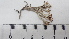  ( - DLH-2015-93)  @11 [ ] CreativeCommons  Attribution Non-Commercial Share-Alike (2020) Diane L. Haughland Unspecified