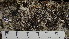  ( - DLH-2016-376E)  @11 [ ] CreativeCommons  Attribution Non-Commercial Share-Alike (2022) Diane L. Haughland Unspecified