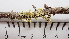  ( - DLH-2017-447)  @11 [ ] CreativeCommons  Attribution Non-Commercial Share-Alike (2020) Diane L. Haughland Unspecified