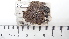  ( - DLH-2017-463)  @11 [ ] CreativeCommons  Attribution Non-Commercial Share-Alike (2020) Diane L. Haughland Unspecified