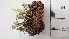 ( - DLH-2017-476)  @11 [ ] CreativeCommons  Attribution Non-Commercial Share-Alike (2020) Diane L. Haughland Unspecified