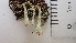  ( - DLH-2017-478)  @11 [ ] CreativeCommons  Attribution Non-Commercial Share-Alike (2020) Diane L. Haughland Unspecified