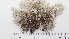  ( - DLH-2017-482)  @11 [ ] CreativeCommons  Attribution Non-Commercial Share-Alike (2020) Diane L. Haughland Unspecified
