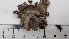  ( - DLH-2017-513)  @11 [ ] CreativeCommons  Attribution Non-Commercial Share-Alike (2020) Diane L. Haughland Unspecified