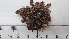  ( - DLH-2017-513)  @11 [ ] CreativeCommons  Attribution Non-Commercial Share-Alike (2020) Diane L. Haughland Unspecified