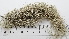  ( - DLH-2017-544)  @11 [ ] CreativeCommons  Attribution Non-Commercial Share-Alike (2020) Diane L. Haughland Unspecified