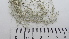  ( - DLH-2017-573)  @11 [ ] CreativeCommons  Attribution Non-Commercial Share-Alike (2020) Diane L. Haughland Unspecified