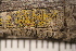  ( - DLH-2017-644C)  @11 [ ] CreativeCommons  Attribution Non-Commercial Share-Alike (2022) Diane L. Haughland Unspecified