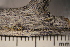  ( - DLH-2017-651)  @11 [ ] CreativeCommons  Attribution Non-Commercial Share-Alike (2022) Diane L. Haughland Unspecified