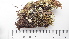  ( - DLH-2017-722)  @11 [ ] CreativeCommons  Attribution Non-Commercial Share-Alike (2020) Diane L. Haughland Unspecified