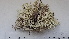  ( - DLH-2017-763)  @11 [ ] CreativeCommons  Attribution Non-Commercial Share-Alike (2020) Diane L. Haughland Unspecified