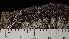  ( - DLH-2017-782B)  @11 [ ] CreativeCommons  Attribution Non-Commercial Share-Alike (2022) Diane L. Haughland Unspecified