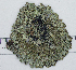  ( - DLH-2017-795)  @11 [ ] CreativeCommons  Attribution Non-Commercial Share-Alike (2020) Diane L. Haughland Unspecified
