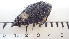  ( - DLH-2017-845)  @11 [ ] CreativeCommons  Attribution Non-Commercial Share-Alike (2020) Diane L. Haughland Unspecified