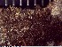  ( - DLH-2018-235)  @11 [ ] CreativeCommons  Attribution Non-Commercial Share-Alike (2022) Diane L. Haughland Unspecified