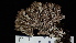  ( - DLH-2018-64)  @11 [ ] CreativeCommons  Attribution Non-Commercial Share-Alike (2022) Diane L. Haughland Unspecified
