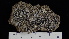  ( - DLH-20180701-007)  @11 [ ] CreativeCommons  Attribution Non-Commercial Share-Alike (2022) Diane L. Haughland Unspecified