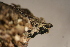  ( - K17-001H)  @11 [ ] CreativeCommons  Attribution Non-Commercial Share-Alike (2022) Diane L. Haughland Unspecified