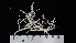  ( - RM19-08D)  @11 [ ] CreativeCommons  Attribution Non-Commercial Share-Alike (2022) Diane L. Haughland Unspecified